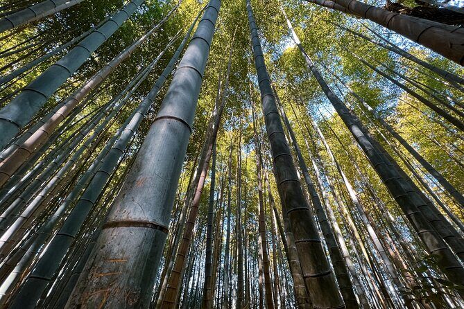 Kyoto: Arashiyama, bamboo forest and beyond - What’s Included and What’s Not