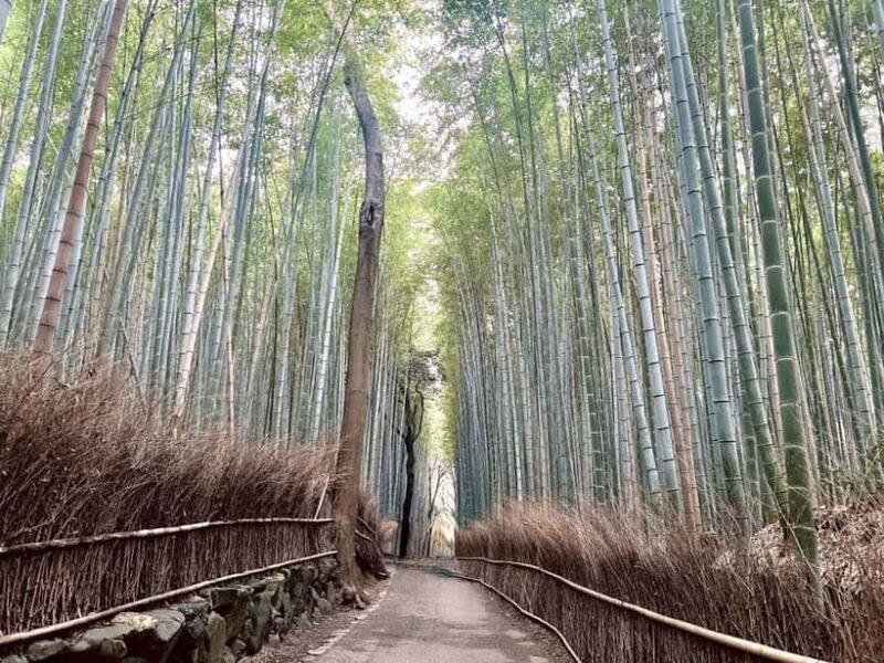 Kyoto: Arashiyama Bamboo Forest and Garden Views Tour - Togetsukyo Bridge: Scenic Overlook and Cultural Icon