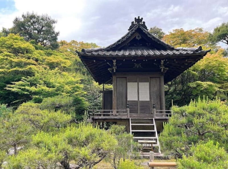 Kyoto: Arashiyama Bamboo Forest and Garden Views Tour - Practical Details and Tips