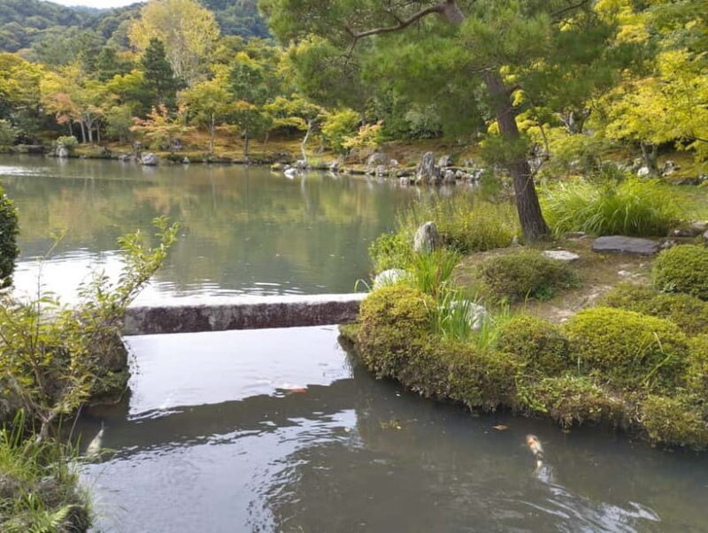 Kyoto: Arashiyama Bamboo Forest and Nijo Castle Private Tour - Overview of the Tour Experience