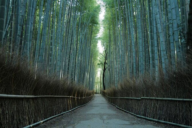 kyoto-arashiyama-bamboo-forest-hidden-hiking-tour