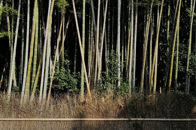 kyoto-arashiyama-bamboo-forest-hidden-hiking-tour