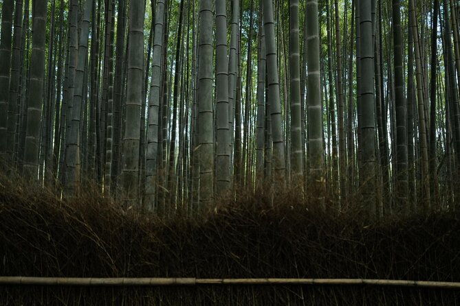 kyoto-arashiyama-bamboo-forest-hidden-hiking-tour