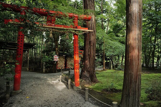 kyoto-arashiyama-bamboo-forest-hidden-hiking-tour