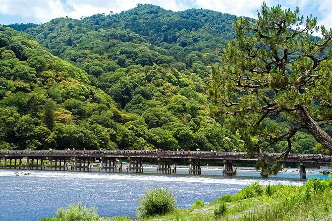 Kyoto: Arashiyama Bamboo Forest, Monkeys, Matcha & Temple Tour - Key Points