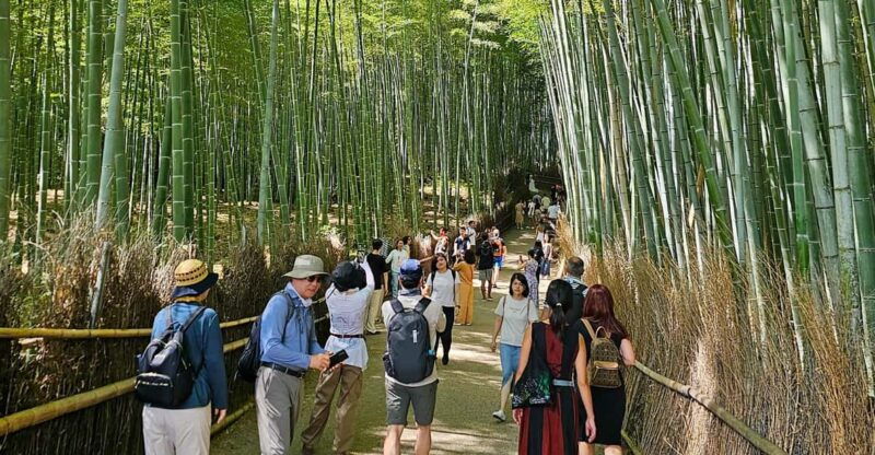 kyoto-arashiyama-bamboo-grove-3-hour-guided-tour