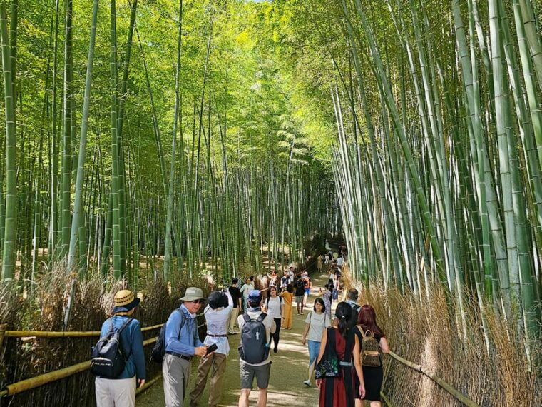 kyoto-arashiyama-bamboo-grove-3-hour-guided-tour