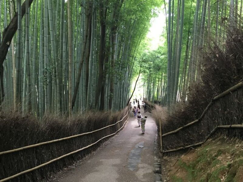kyoto-arashiyama-best-spots-4h-private-tour