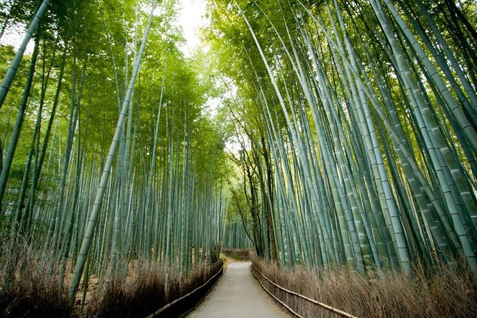 kyoto-arashiyama-best-spots-4h-private-tour-with-licensed-guide