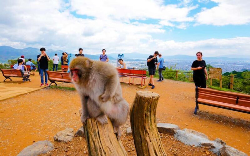 Kyoto: Arashiyama Chopstick Carving Workshop - Who Should Sign Up?