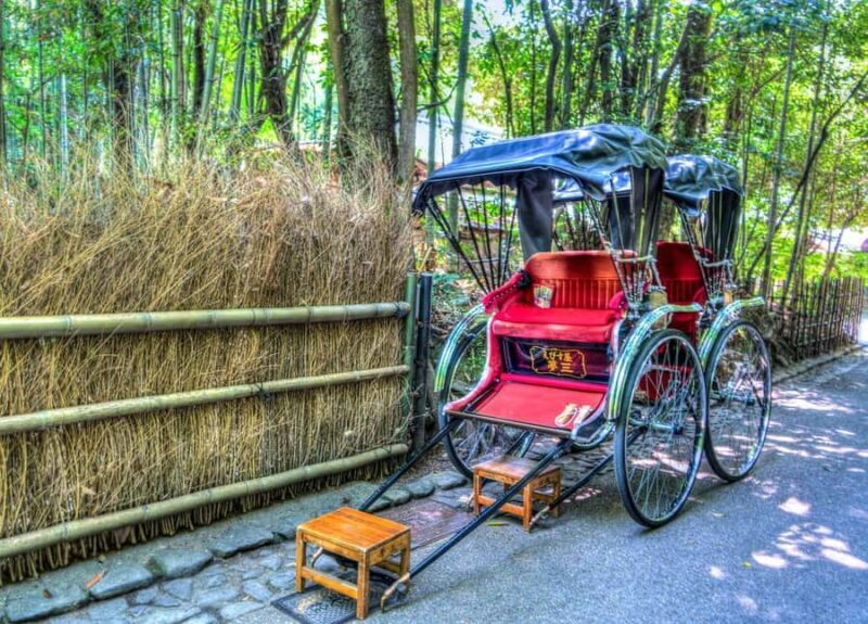 Kyoto: Arashiyama Early Access Bamboo & Temple Tour - Walking Through the Bamboo Forest