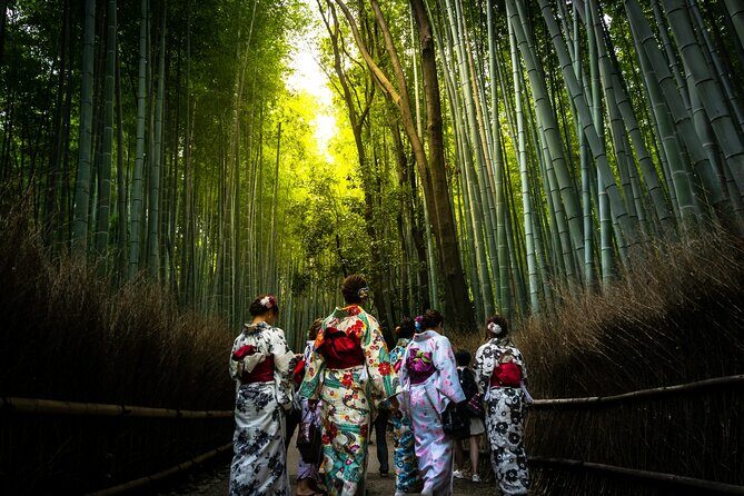 Kyoto: Arashiyama Early Access Bamboo & Temple Tour - Who Should Consider This Tour?