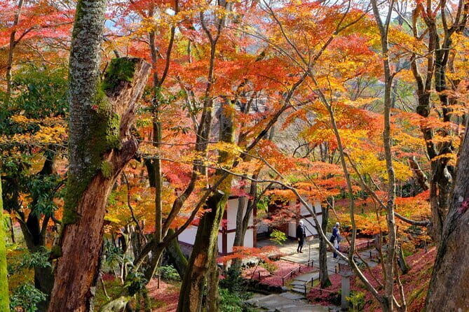Kyoto Arashiyama: Fall Foliage Walking TourAutumn's limited - Exploring Kyoto’s Autumn in Depth