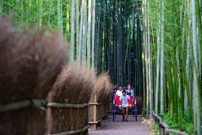 kyoto-arashiyama-rickshaw-tour-with-bamboo-forest