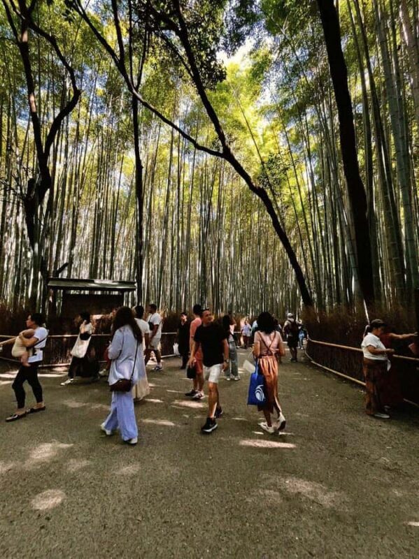 Kyoto: Arashiyama & Takao Bamboo, River & Mountain Hike - Key Points