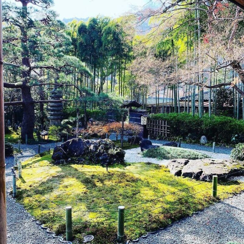 Kyoto: Arashiyama & Takao Bamboo, River & Mountain Hike - Final Thoughts: Is This Tour for You?