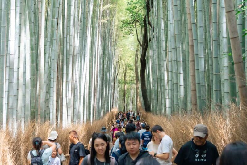 Kyoto Arashiyama tour: Iconic Sights and Hidden Treasures - Who Will Love This Tour?