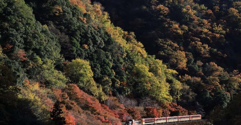 kyoto-arashiyama-tour-with-optional-sagano-romantic-train