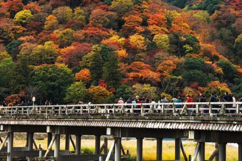 kyoto-arashiyama-tour-with-optional-sagano-romantic-train