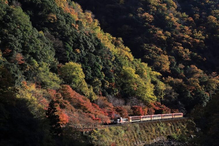 kyoto-arashiyama-tour-with-optional-sagano-romantic-train