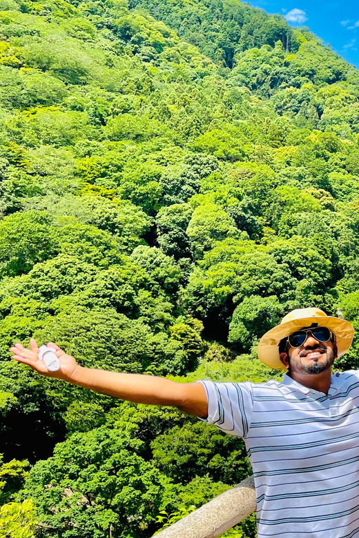 kyoto-arashiyama-walking-tour-bamboo-grove-monkeysecrets
