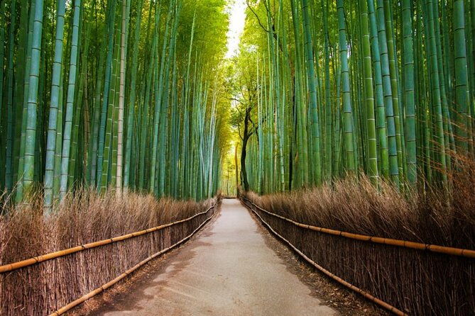 kyoto-arashiyama-walking-tour-bamboo-monkeys-temple-secrets