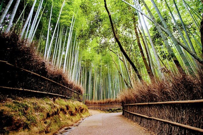 kyoto-arashiyama-walking-tour-bamboo-monkeys-temple-secrets