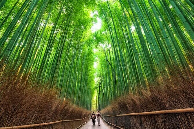 Kyoto: Arashiyama Walking Tour  UNESCO World Heritage - Key Points