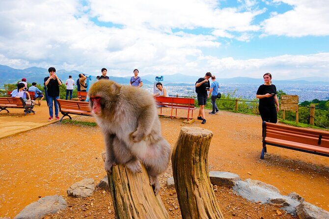 Kyoto: Arashiyama Walking Tour  UNESCO World Heritage - Introduction to the Kyoto Arashiyama Walking Tour