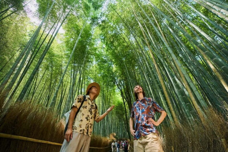 Kyoto: Arashiyama Walking Tour  UNESCO World Heritage - Analyzing the Value