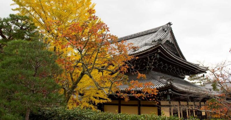 kyoto-authentic-biking-half-day-experience