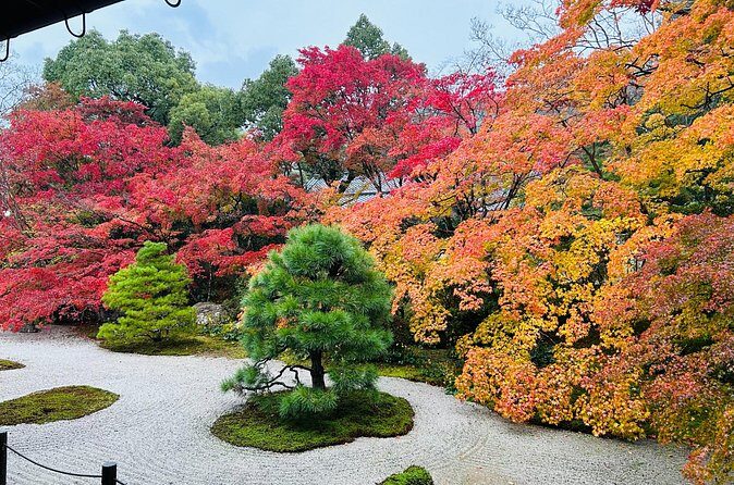 Kyoto Autumn Foliage Private Car Tour Temples and Gardens - Who Should Consider This Tour?