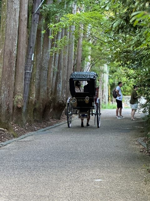 Kyoto: Avoid the Crowds at the Hidden Gems of Arashiyama - An In-Depth Look at the Tour Experience
