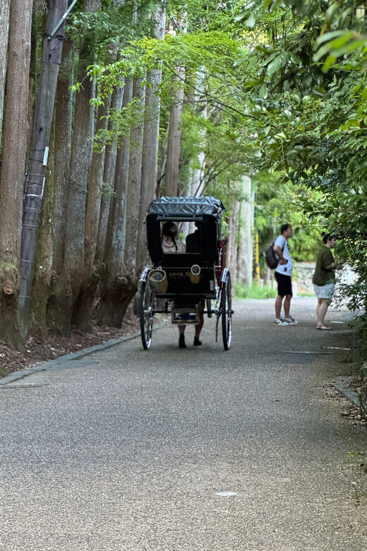 Kyoto: Avoid the Crowds at the Hidden Gems of Arashiyama - Why This Tour Stands Out