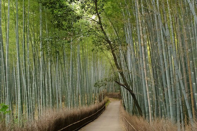 kyoto-bamboo-forest-electric-bike-tour