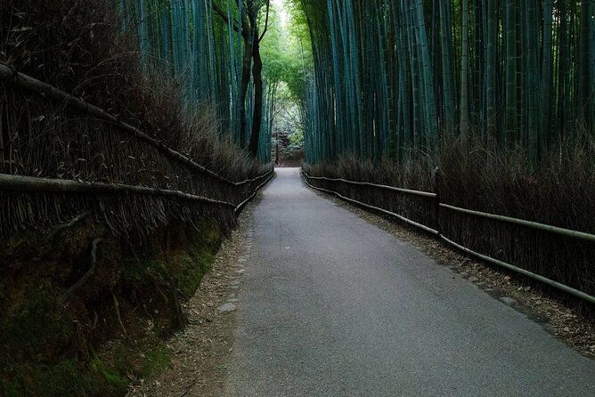 kyoto-bamboo-forest-golden-pavilion-bike-tour