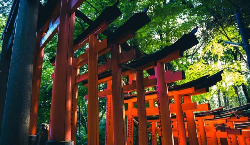 Kyoto: Beat the Crowds "Big 2" Tour (Inari & Arashiyama) - Why You’ll Love This Tour