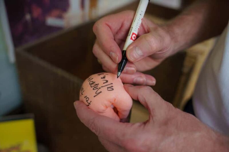 Kyoto Bus Tour: Fushimi, Kiyomizu, Kinkaku-ji & Arashiyama - FAQs