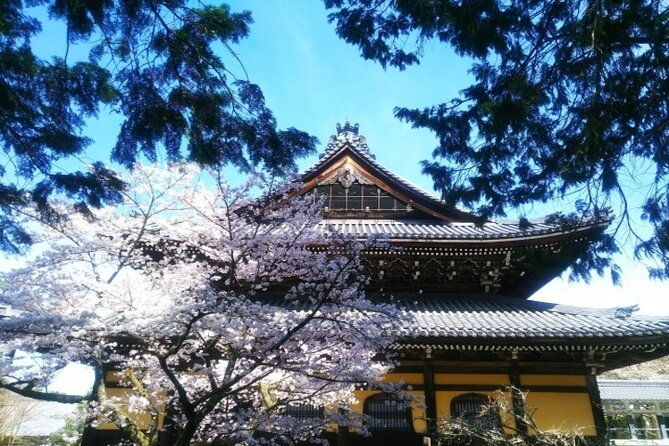 kyoto-cherry-blossom-with-miyako-odori-1-day-walking-tour
