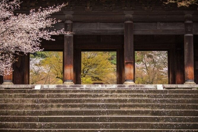 kyoto-cherry-blossom-with-miyako-odori-1-day-walking-tour