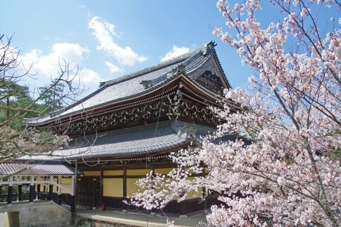 kyoto-cherry-blossom-with-miyako-odori-1-day-walking-tour