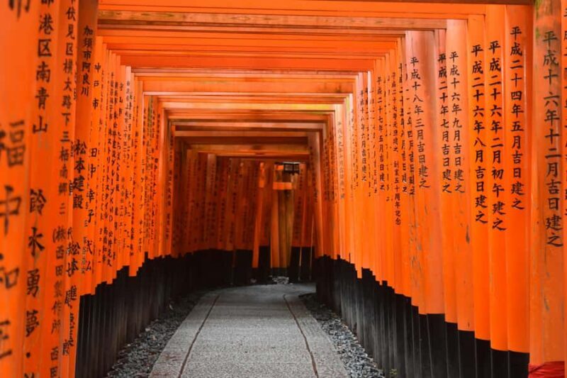 Kyoto City Day Trip& English Speaking & Registered Vehicle - Pricing and Value