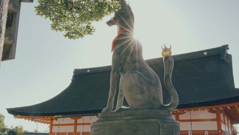 Kyoto City Private Full Day Tour - What to Expect During the Tour