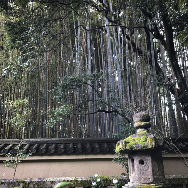 kyoto-city-secrets-ebike-tour