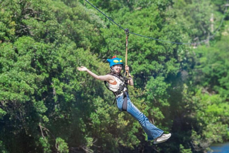 Kyoto: Crayon Shin-chan at Nijigen no Mori Entry & Transfer - Key Points