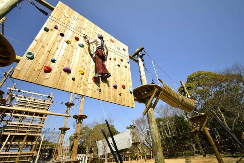 Kyoto: Crayon Shin-chan at Nijigen no Mori Entry & Transfer - Who Will Love This Tour?