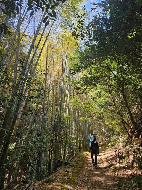 kyoto-customed-tour-kiyomizu-golden-temple-fushimi