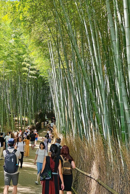 kyoto-customizable-4-hour-world-heritage-sites-tour