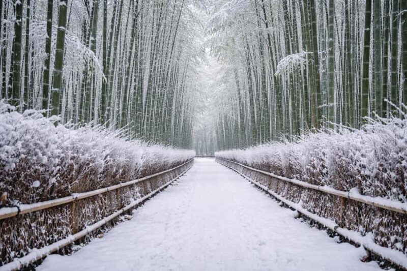 Kyoto: Customizable Early-Access Tour with Guide & Car - An in-depth look at the Kyoto Tour Experience