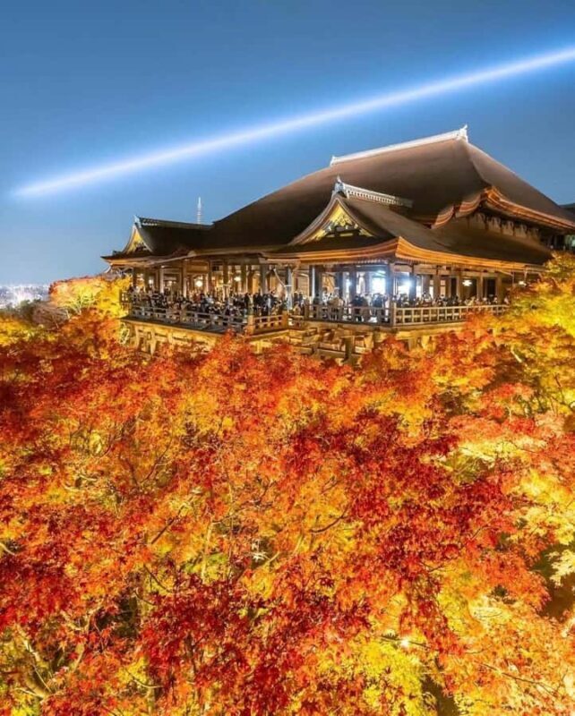 Kyoto: Customizable Early-Access Tour with Guide & Car - The Sum Up